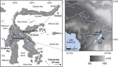 Fire, volcanism and climate change: the main factors controlling mercury (Hg) accumulation rates in Tropical Lake Lantoa, Sulawesi, Indonesia (∼16,500–540 cal yr BP)